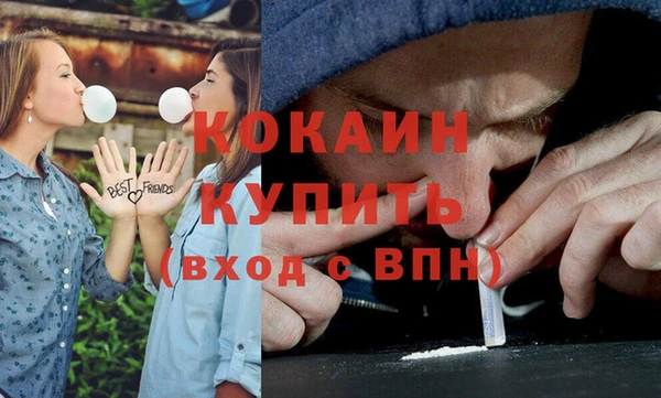 спайс Богданович