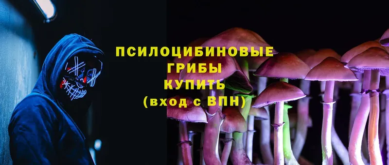 где можно купить   Муром  Псилоцибиновые грибы MAGIC MUSHROOMS 